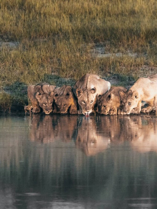 Zambia Destination